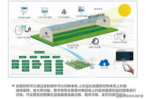 智慧農業新篇章 貴州溫室溫濕度控制系統與物聯網技術研發的深度融合
